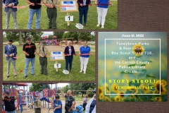 Walk-in-park-sunflowers