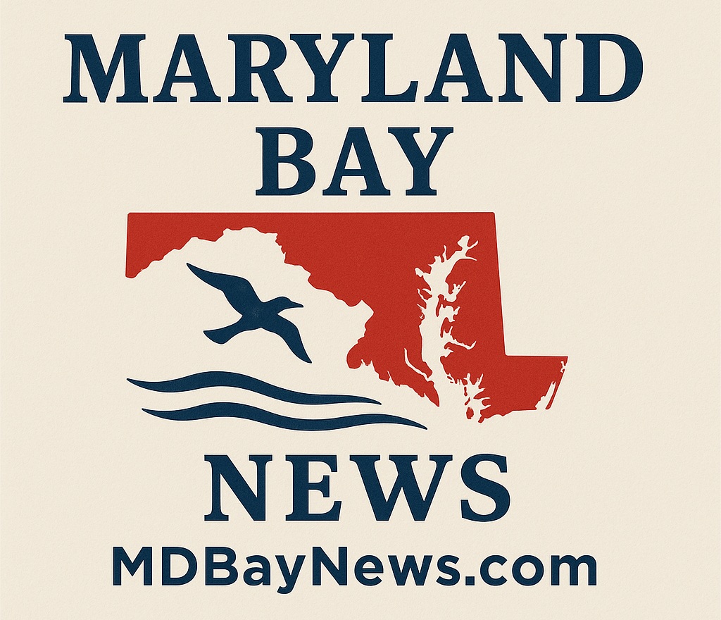 MD Bay news Collage